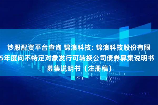 炒股配资平台查询 锦浪科技: 锦浪科技股份有限公司2025年度向不特定对象发行可转换公司债券募集说明书（注册稿）