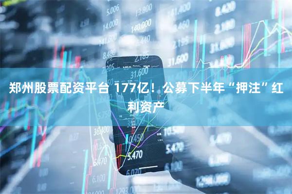 郑州股票配资平台 177亿！公募下半年“押注”红利资产
